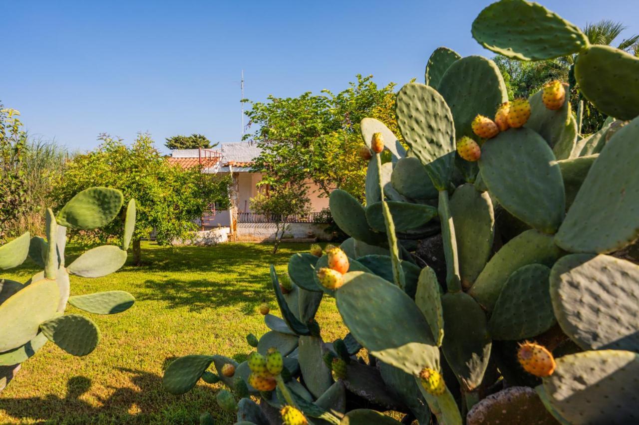 Sicilian Oasi With Exotic Garden Villa Santa Maria del Focallo Esterno foto